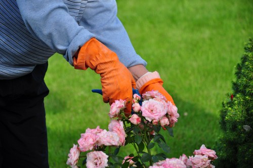 Team clearing garden debris in a Finchley terraced yard